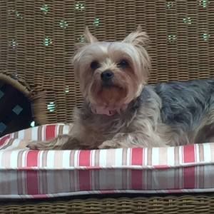 Meet your Posher, Linda